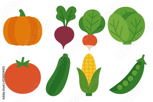 Colorful collection of fresh organic vegetables including pumpkin, tomato, corn, cabbage, radish, and peas