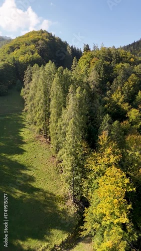 Flug über einen Mischwald am Berghang mit Hügeln und Täler und Blick ins Tal, Vertikal Video im Spätsommer