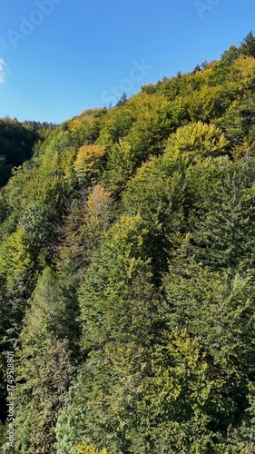 Flug über einen Bergwald an einem Berghang mit Pan Shot und Blick ins Tal im Herbst, Vertikal Video