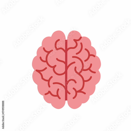 Brain Illustration for Cognitive Function and Mental Health
