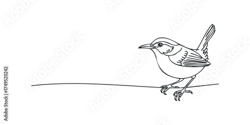 Line drawing of a small bird perched on a thin line