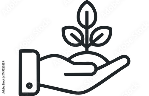 Hand holding a seedling with leaves