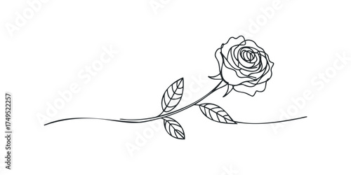 Single Line Rose Bloom with Leaves Branch