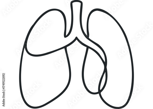 Simple outline drawing of human lungs on white
