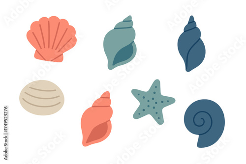 Stylized collection of colorful seashells and starfish representing ocean life and summer vacation elements