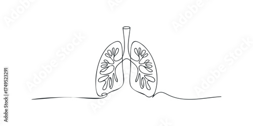 Line art drawing of human lungs on white background