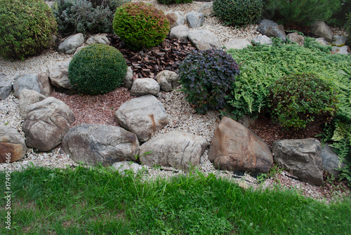 Fotografi Alpine slide, rock garden or rockery, which consists of stones and plants growing at high altitudes