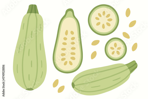 Fresh green zucchini slices and whole vegetables with seeds
