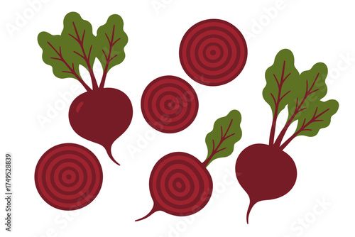 Stylized beetroot illustrations with leaves and sliced sections