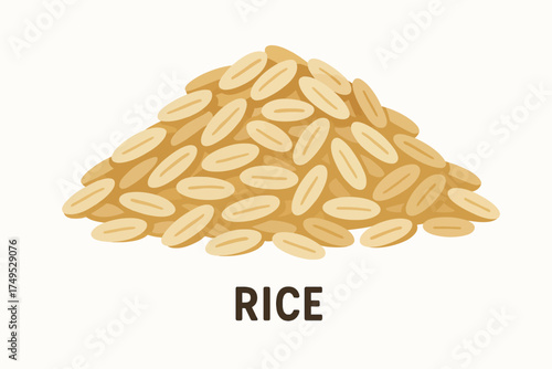 Pile of uncooked rice grains illustrated on white background