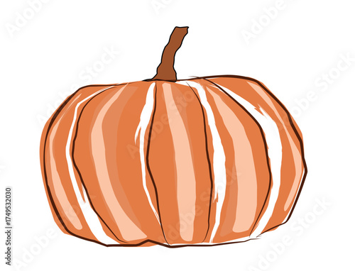 pumpkin illustration .eps