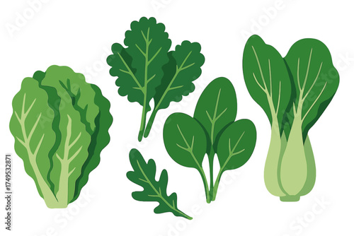 Assortment of fresh green leafy vegetables isolated on white background