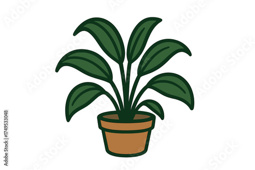 Minimalist lush green indoor houseplant growing in a small terracotta clay container