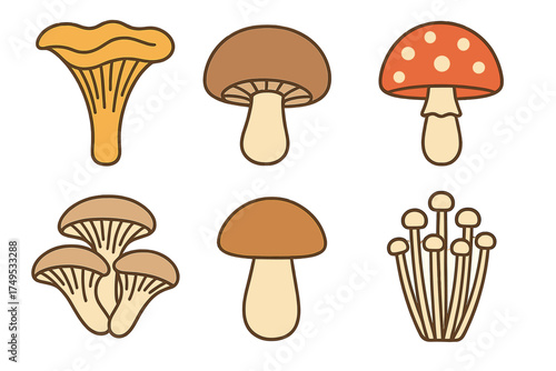 Six different types of wild forest mushrooms including chanterelle, shiitake, and fly agaric