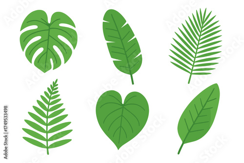 Collection of green tropical foliage elements including Monstera palm and fern leaves
