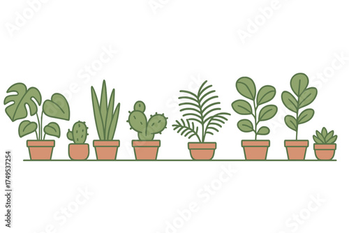 Assortment of potted houseplants and succulents in clean outline style