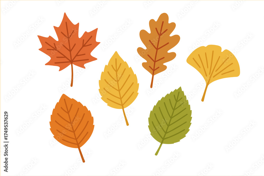 Fototapeta premium Colorful collection of autumn leaves including maple, oak, and ginkgo in flat style