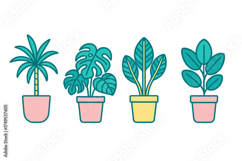 Stylized collection of four popular potted tropical houseplants including Monstera and palm