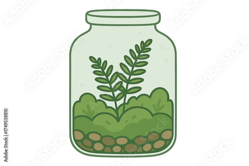 Miniature ecosystem with lush green foliage and small stones in a clear glass jar
