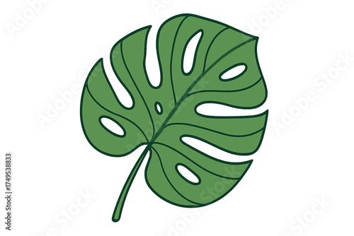 Stylized tropical Monstera deliciosa leaf isolated on a white background