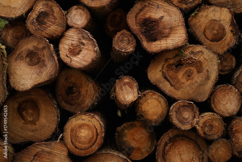 Konstfotografi Brennholzsammlung, Brennholz, Wald, Holzeinschlag
