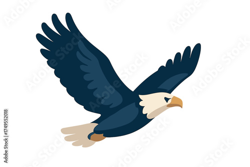 Majestic bald eagle soaring with wide wingspan isolated on white background
