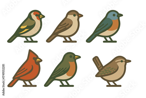 Set of six common North American songbirds featuring various colors and species profiles