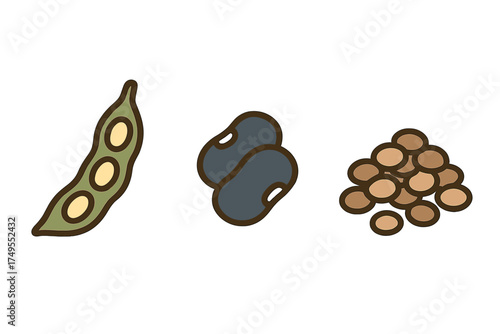 Assortment of legumes including green bean pod, black beans, and dried soybeans