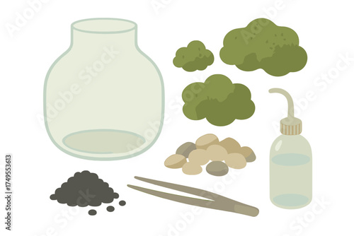 Essential components for creating a closed ecosystem miniature plant terrarium