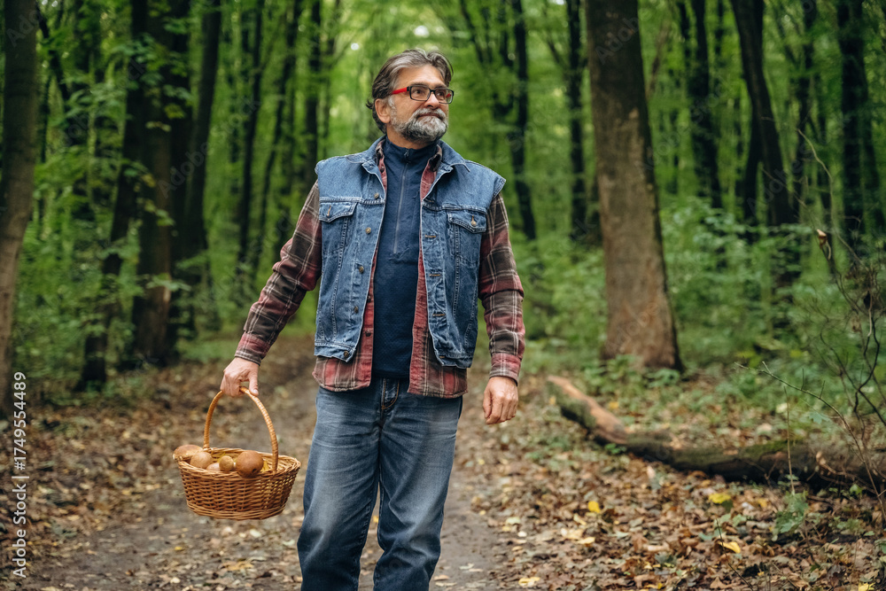 Fototapeta premium Walking, collected lot of them, in basket. Mushroom picking. Man is in the forest at daytime