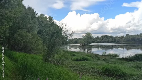 A gentle bank of a shallow river with bushes, grass and dense forest on a summer day. Matveevskaya channel, Novosibirsk, Russia.