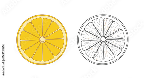 A colorful sliced lemon next to its black and white sketch.