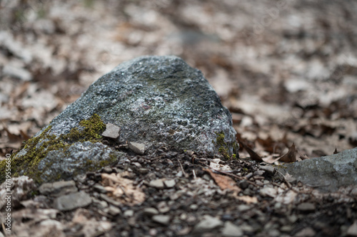 Large rock protruding from the ground