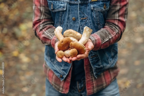 Collected bunch of them. Close up view of man that is doing mushroom picking in the forest
