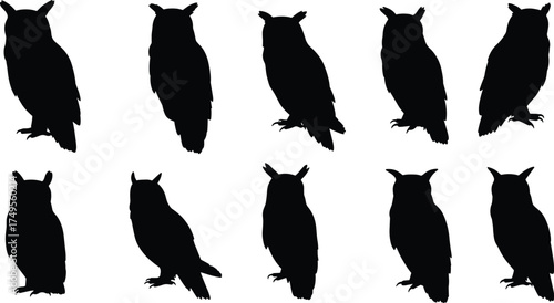 Silhouette collection of owl birds sitting on branches, wildlife nocturnal animal illustration showing various poses and shapes for nature and design use