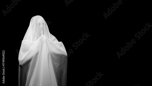 Εκτύπωση καμβά Ghost costume figure in dark studio