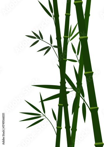 Natural green bamboo plants and leaves with a simple, clean, and refreshing design. Asian nature and ecology concept.