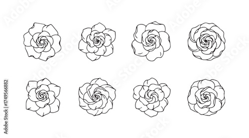 Set of eight abstract botanical line art roses delicate petals swirling floral designs for artistic projects vector