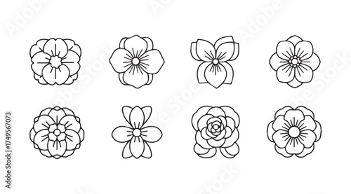 Collection of hand drawn delicate floral elements vintage botanical line art designs vector