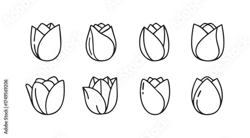 Collection of eight hand-drawn tulip flower sketches with delicate petals and budding forms vector