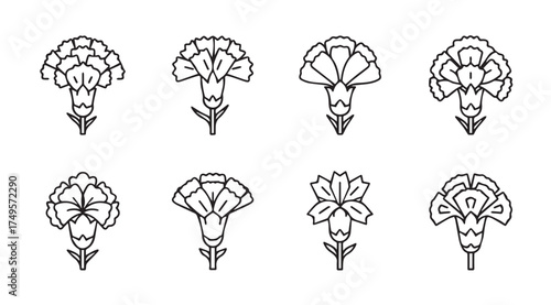 Set of eight hand-drawn black and white carnation flowers with stems artistic sketch style vector