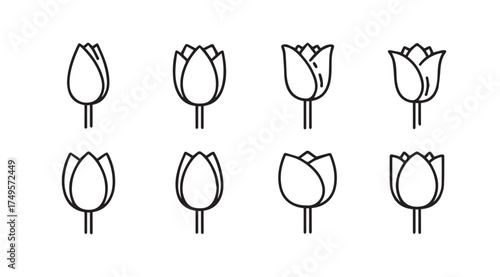 Collection of outline tulip flowers hand drawn simple line art isolated spring botanical elements vector
