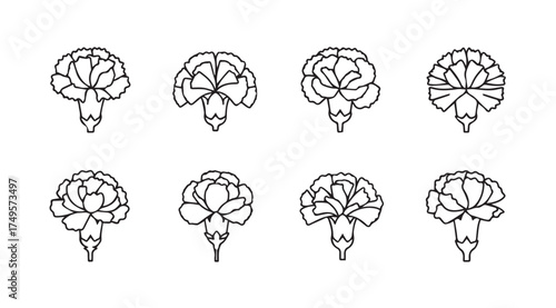 Set of hand drawn anatomical brain views medical sketch style creative concept vector