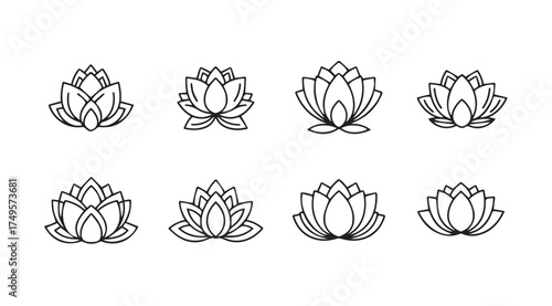 Set of eight delicate hand-drawn lotus flowers in various stages of bloom artistic design vector