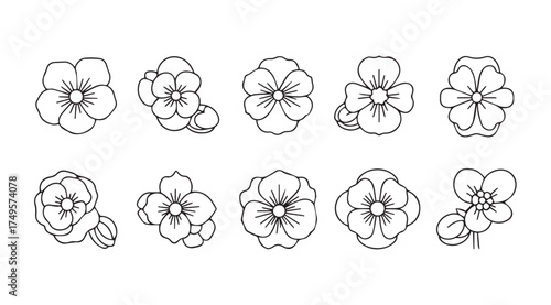 Hand drawn floral elements collection delicate blossoms delicate sketch style botanical art isolated vector