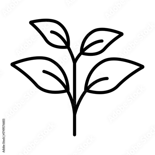 Outline icon of a growing plant with multiple leaves, representing growth, nature, and life. Suitable for ecology, organic farming, and environmental awareness projects.