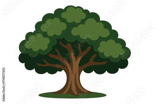 Stylized deciduous tree with broad canopy and thick trunk isolated on white