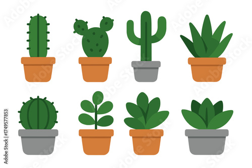 Set of stylized potted cacti and various succulent plants icons