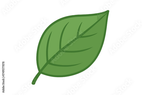 Simple green plant leaf with prominent veins isolated on white background