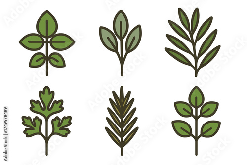 Six stylized green herb and plant leaves icons for nature and culinary design